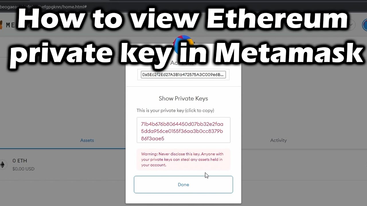 metamask private key vs seed phrase