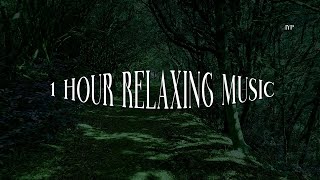 1HR Relaxing Music, Deep Sleep Music, Meditation Music, Stress Relief Music | Ignite Your Power