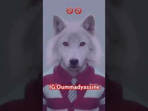 بالأمازيغية لانقول بلوكيني بل نقول الأمازيغية