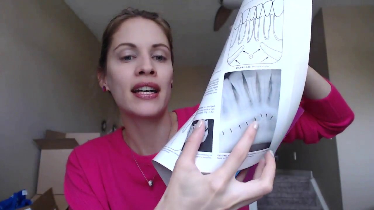 Radiographic Interpretation by Dentalelle YouTube