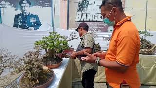 Penjurian & Penancapan Bendera Pamlok Ppbi Bojonegoro 12 Mei 2022 Desa Mojodeso