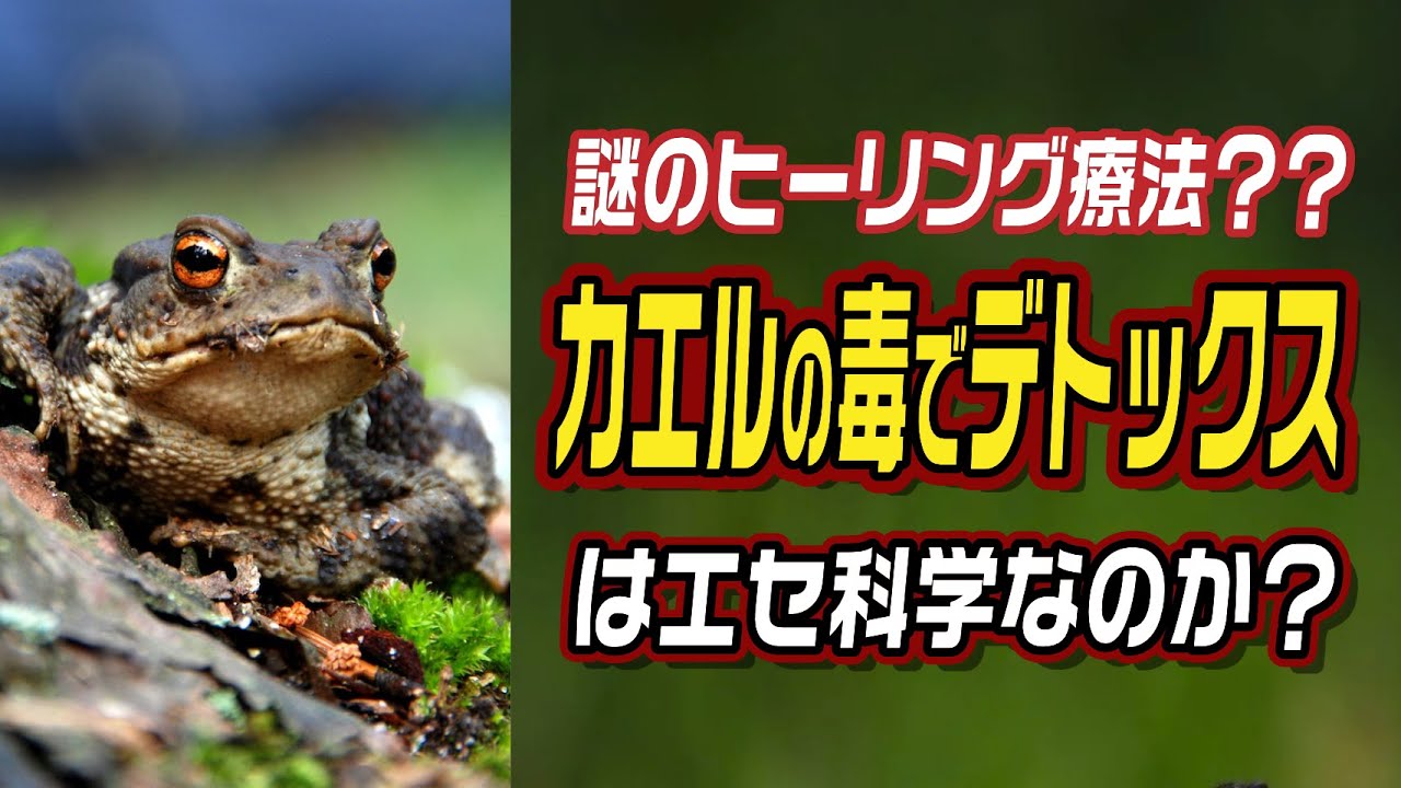Is the mysterious healing therapy of detoxifying with frog venom