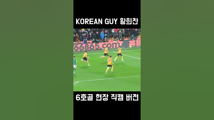 황희찬 리그 6호골 현장 직캠 버전 #황희찬 #울버햄튼 #직캠