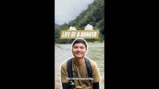 A Day in the Life of a Ranger | WWF-SINGAPORE