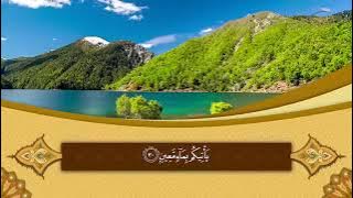 Al Qur’an Juz 29  Syaikh Hani Ar Rifai