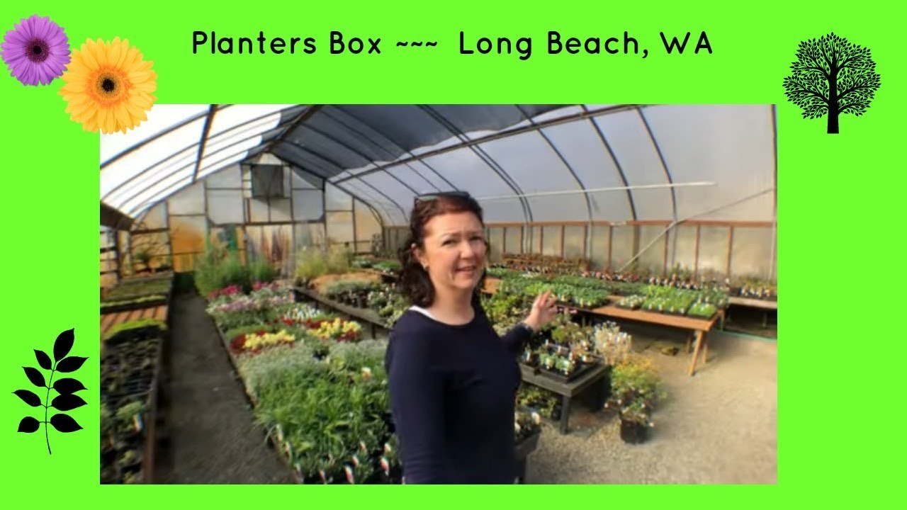 Planters Box Long Beach WA Long Beach Peninsula YouTube