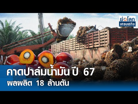 ผลสลากกินแบ่งรัฐบาล วันที่ 1 พย. 2567 ผลสลากกินแบ่งรัฐบาล วันที่ 1 พย. 2567