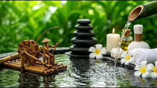 Soft Piano & Bamboo Water Fountain, 🍃 a Perfect Way to Find Some Calm This Evening screenshot 4