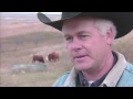 Ranching Perspectives