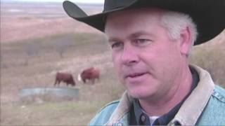 Ranching Perspectives