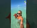 This Selfie Could Kill a Starfish 😢 #facts #shorts