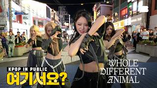 [여기서요?] 에스파 aespa - WDA (B Team ver.) | 커버댄스 Dance Cover @홍대
