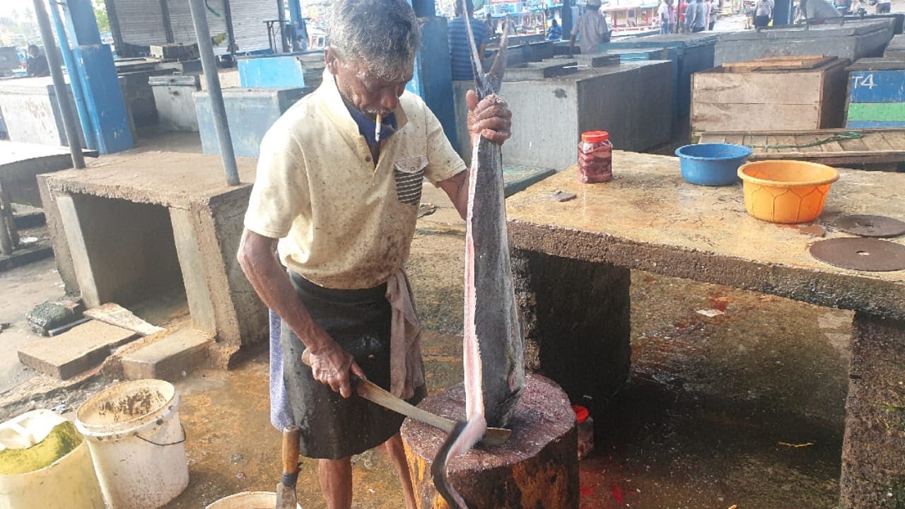 WOW! AMAZING VILLAGE MAN FISH CUTTING SKILL GIANT MAHI MAHI FISH CUT