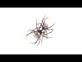 Doja Cat Wet Vagina Official Audio Doja Cat Wet Vagina Official Audio