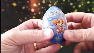 Paw Patrol Surprise Egg