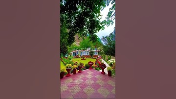 ﴿وَاسْتَغْفِرِ اللَّهَ ۖ إِنَّ اللَّهَ كَانَ غَفُورًا رَّحِيمًا﴾ || القارئ ناصر القطامي #tilawa