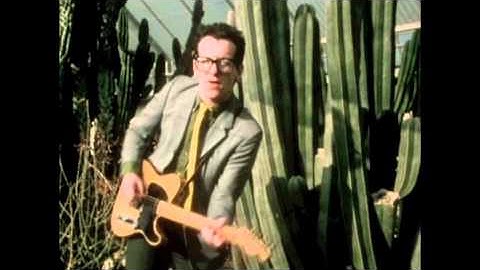 "Love For Tender" Promo Video