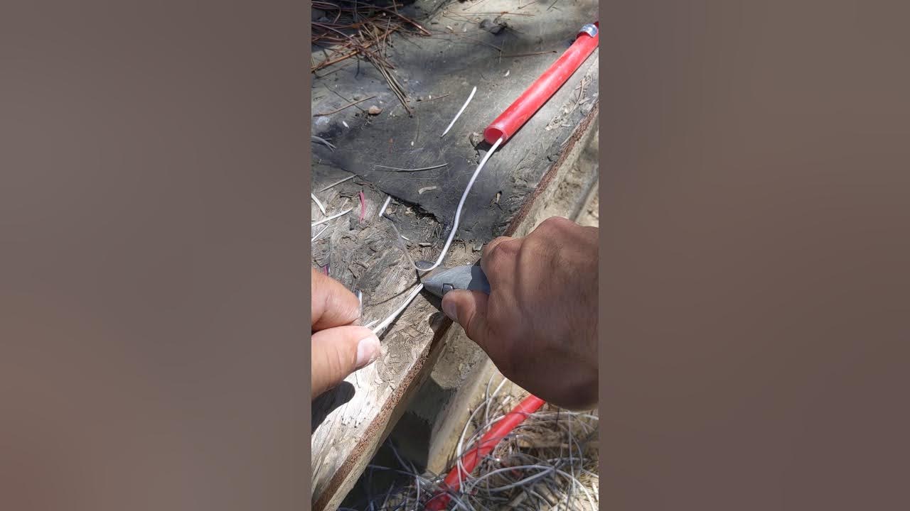 Cómo pelar cable how to strip cable YouTube