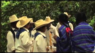 Danza y Ceremonia - Petición de la Lluvia - Miramar Viejo, Xilitla