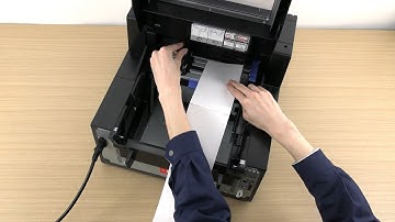 Loading Paper to Feed it from Outside the Printer  (CW-C6000/CW-C6500 Auto Cutter Model)