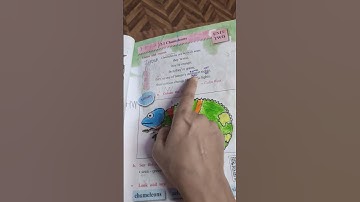 chameleons poem 2std