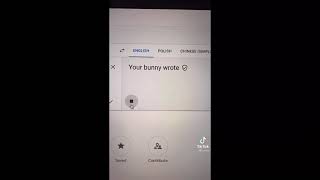 Твой Зайчик Написал Ебаный Рот Your Bunny Wrote