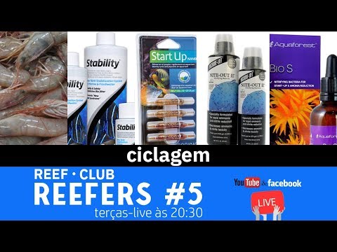 ReefClub Reefers #5 Live - Ciclagem? O que fazer e o que não deixar que façam com você!