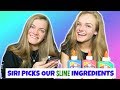 SIRI Picks Our Slime Ingredients Challenge ~ Jacy and Kacy