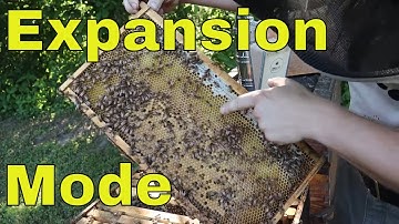 🔵Why April Splits are Getting 3 Deeps Boxes!!!