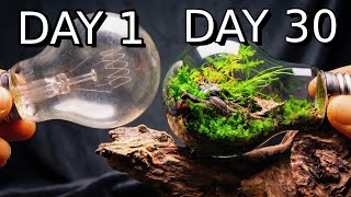 Can a Mini Ecosystem Survive Inside a Lightbulb 