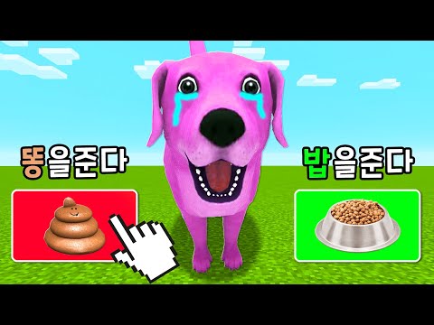 [개의 삶] 1살부터 13살까지 개가 되어버렸어요!!!