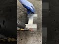 #HandheldLaserWelder #WeldingTechnology #LaserWelderPriceList #SheetMetalProcessing #shorts