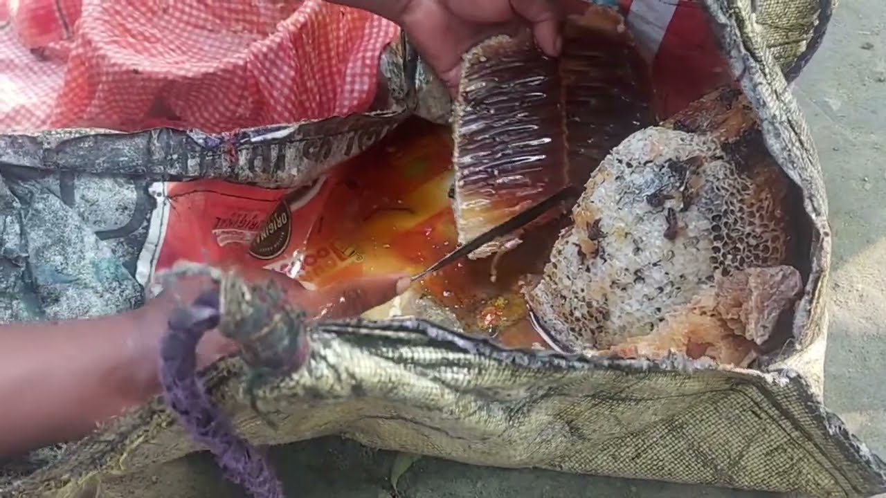 How to get pure honey 🍯from beehive