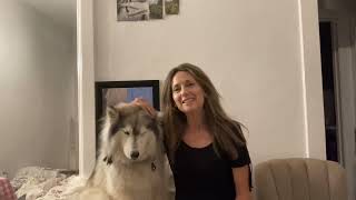 Commercial Couch With Dog