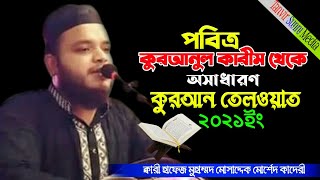 কুরআন তেলওয়াত।জনপ্রিয় ক্বারী হাফেজ মুহাম্মদ মোসাদ্দেক মোর্শেদ কাদেরী।Tanvir_Sunni_Media