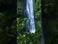 Waterfall 4k Footage Lovly Beautiful Waterfall For Status Video Editing Copyright Free 