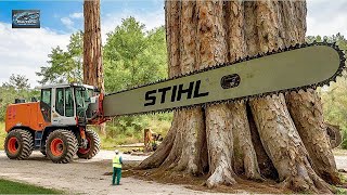 Extreme Dangerous Fastest Big Chainsaw Cutting Tree Machines | Monster Stump Removal Excavator #22