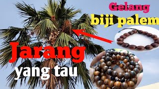 Cara Membuat Gelang Cantik dari Biji Palem | memanfaatkan sampah biji palem