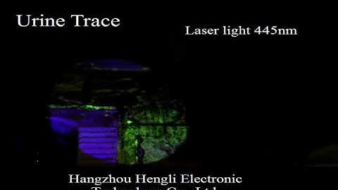 Forensic laser light source application:urine trace under white light laser 445nm laser 532nm