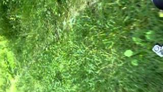 Simson S60 by. Rycsy part 2.