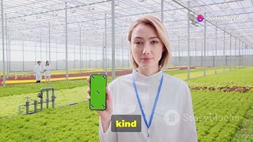 Yield Farming in Crypto: A Beginner