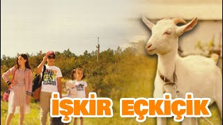 : Odir-budir. 10 b"ol"um  Iskir eckicik (-.  10  -)