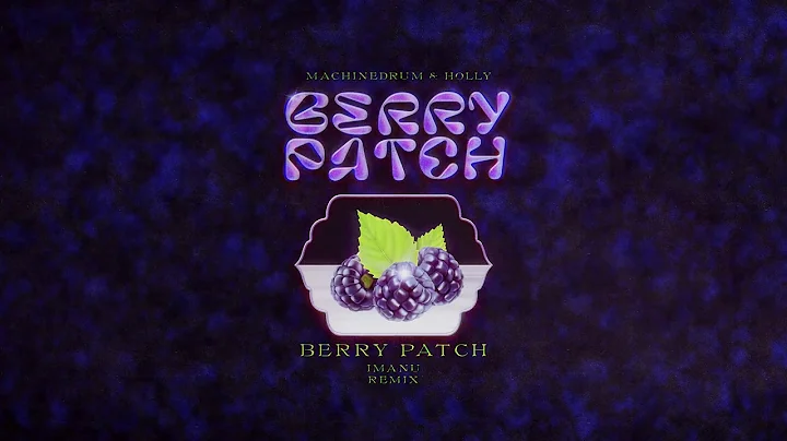 Machinedrum & Holly - Berry Patch (IMANU Remix)