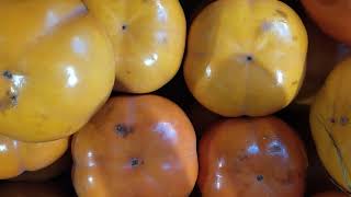 Λωτός φρέσκος, αποξηραμένος, λικέρ, μαρμελάδα κ.α