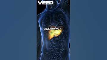 The Liver That Regrows Itself | Nature’s Real Regenerator