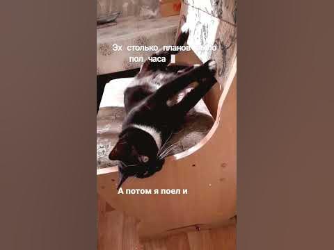 Я поел и прилёг... - YouTube