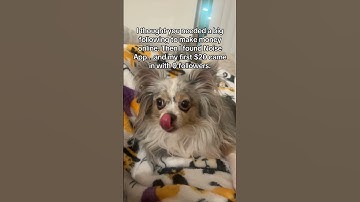 use this as your sign to start something new #sidegig #makemoneyfromhome #noise #italia