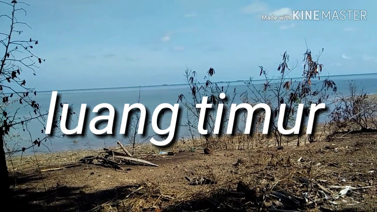 Maluku barat daya,, pulau luang,, 