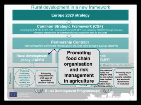 Key Elements Of Strategic Programming Of The Eu's Rural Development Policy After 2013