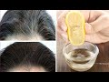Apply it 1 Night // White Hair Turn To Jet Black Permanently (100% WORKING) ll NGWorld